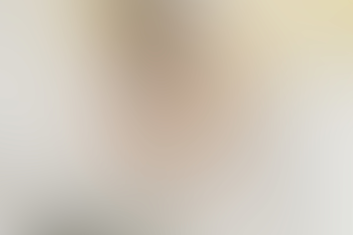 RosarioPet | Distribuidora de accesorios para mascotas.