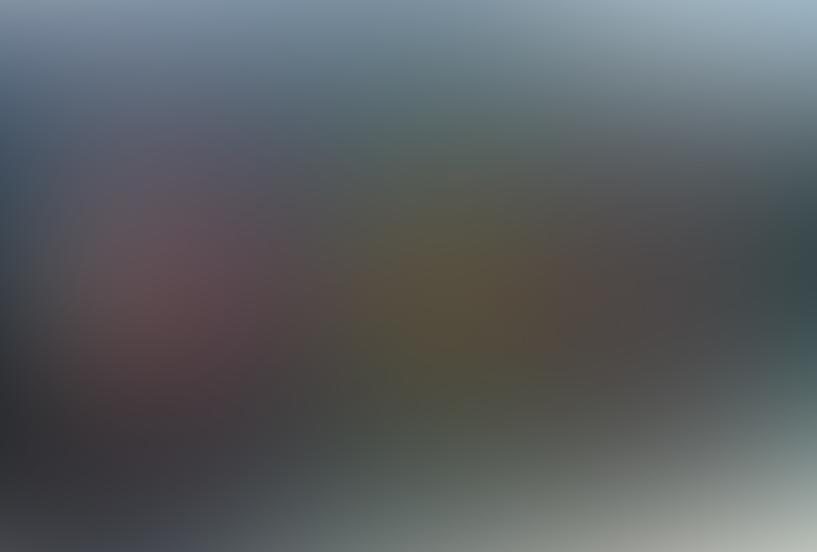 RosarioPet | Distribuidora de accesorios para mascotas.