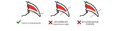 ALICATE PREMIUM CHICO BLONDI - Imagen 2