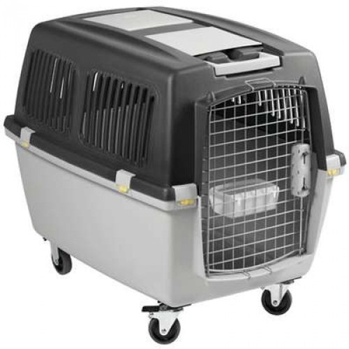 RosarioPet | Distribuidora de accesorios para mascotas.