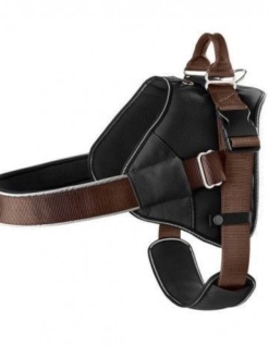 Arnes Perro Reforzado Con Neoprene E Impermeable Tamaño S