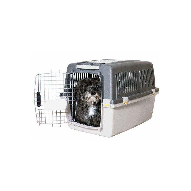 RosarioPet | Distribuidora de accesorios para mascotas.