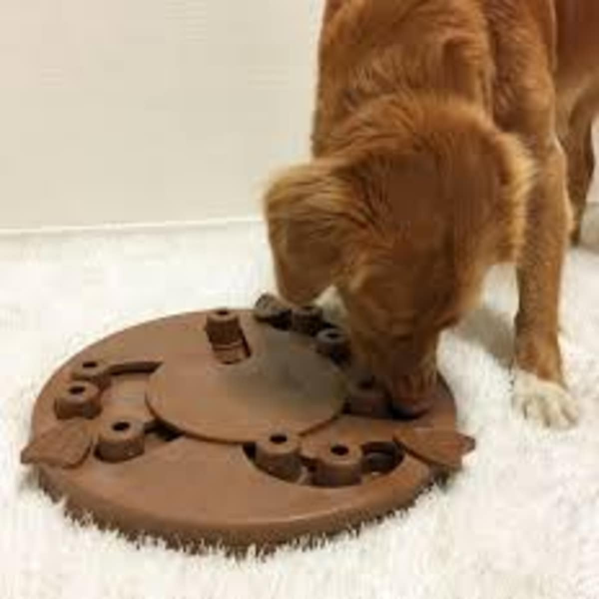 JUEGO PARA PERROS DOG WORKER COMPOSITE - Imagen 3