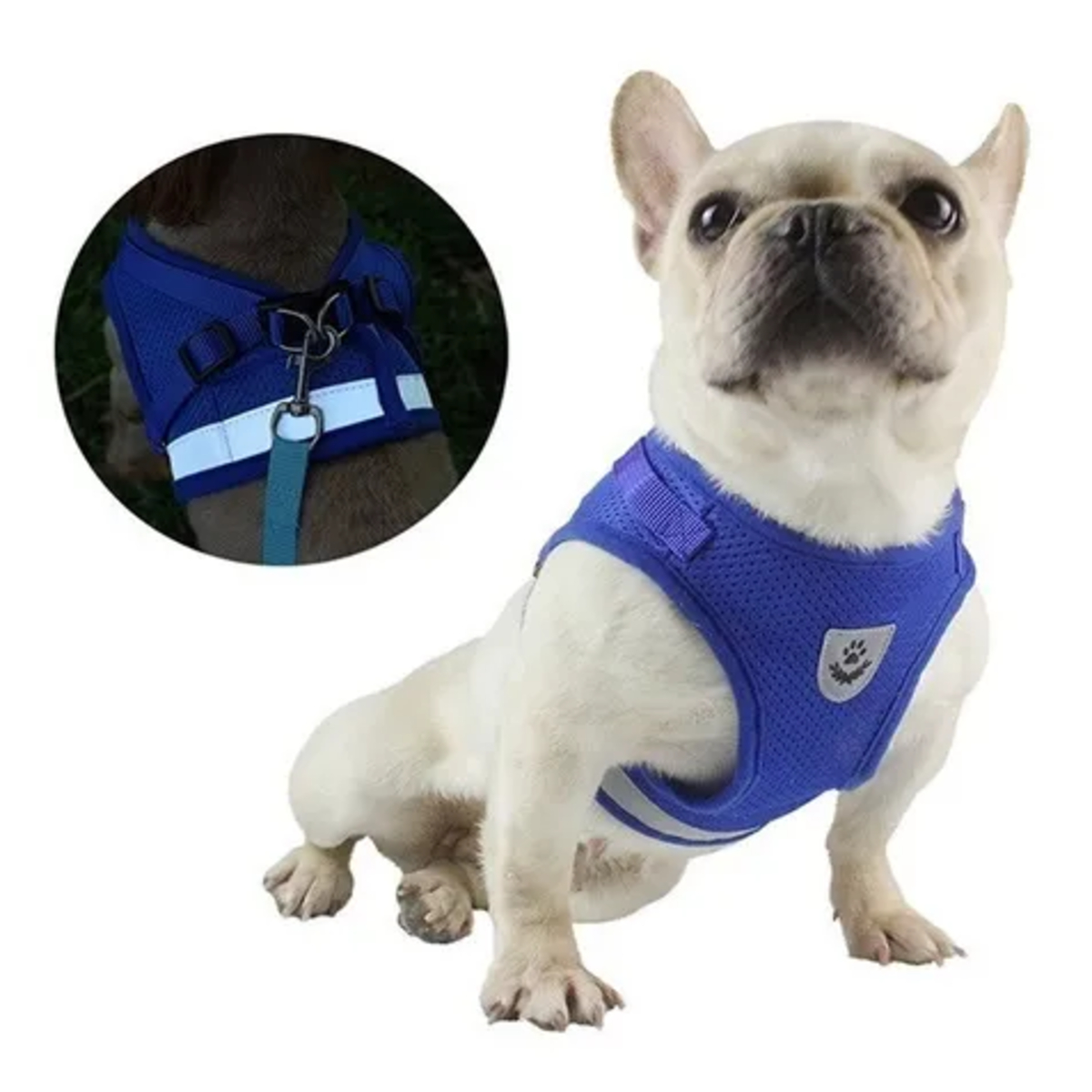 Pretal Arnes Con Correa Perro Gato Acolchado - Imagen 5