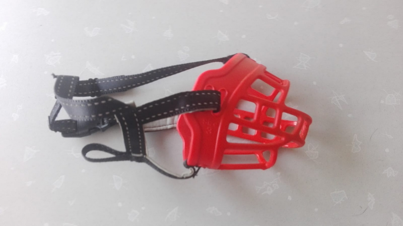 RosarioPet | Distribuidora de accesorios para mascotas.