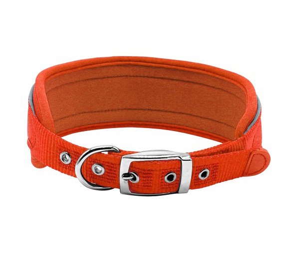 RosarioPet | Distribuidora de accesorios para mascotas.