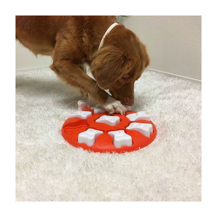 RosarioPet | Distribuidora de accesorios para mascotas.