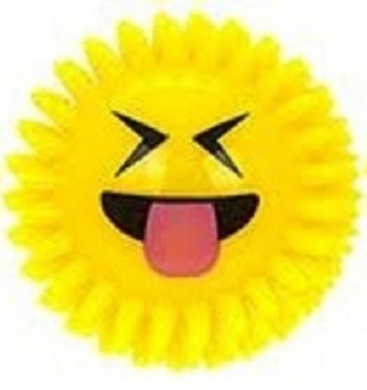 RosarioPet | Distribuidora de accesorios para mascotas.