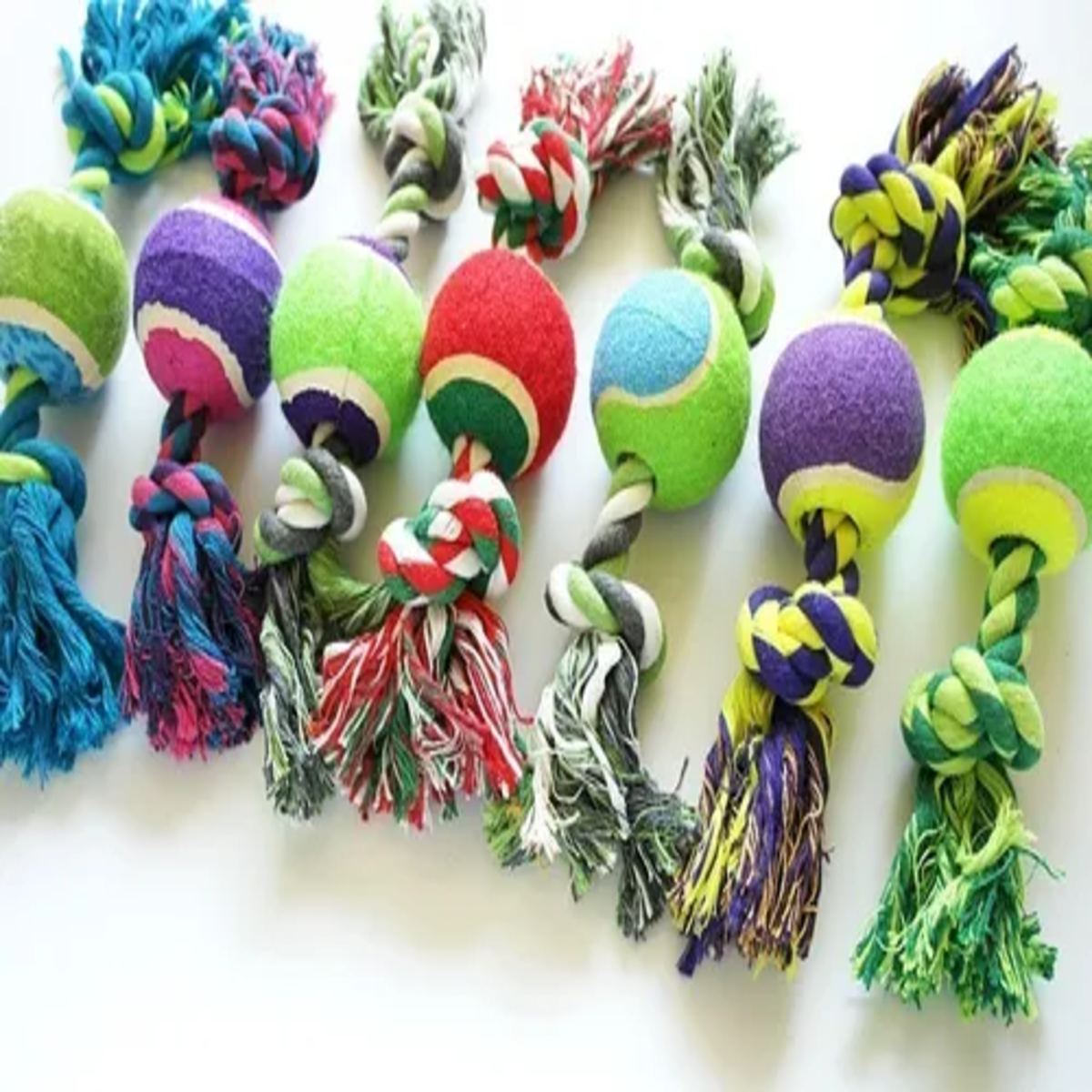 SOGA CON PELOTA TENIS PARA PERROS Y GATOS - Imagen 2