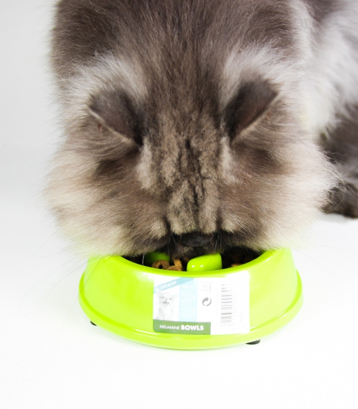 RosarioPet | Distribuidora de accesorios para mascotas.