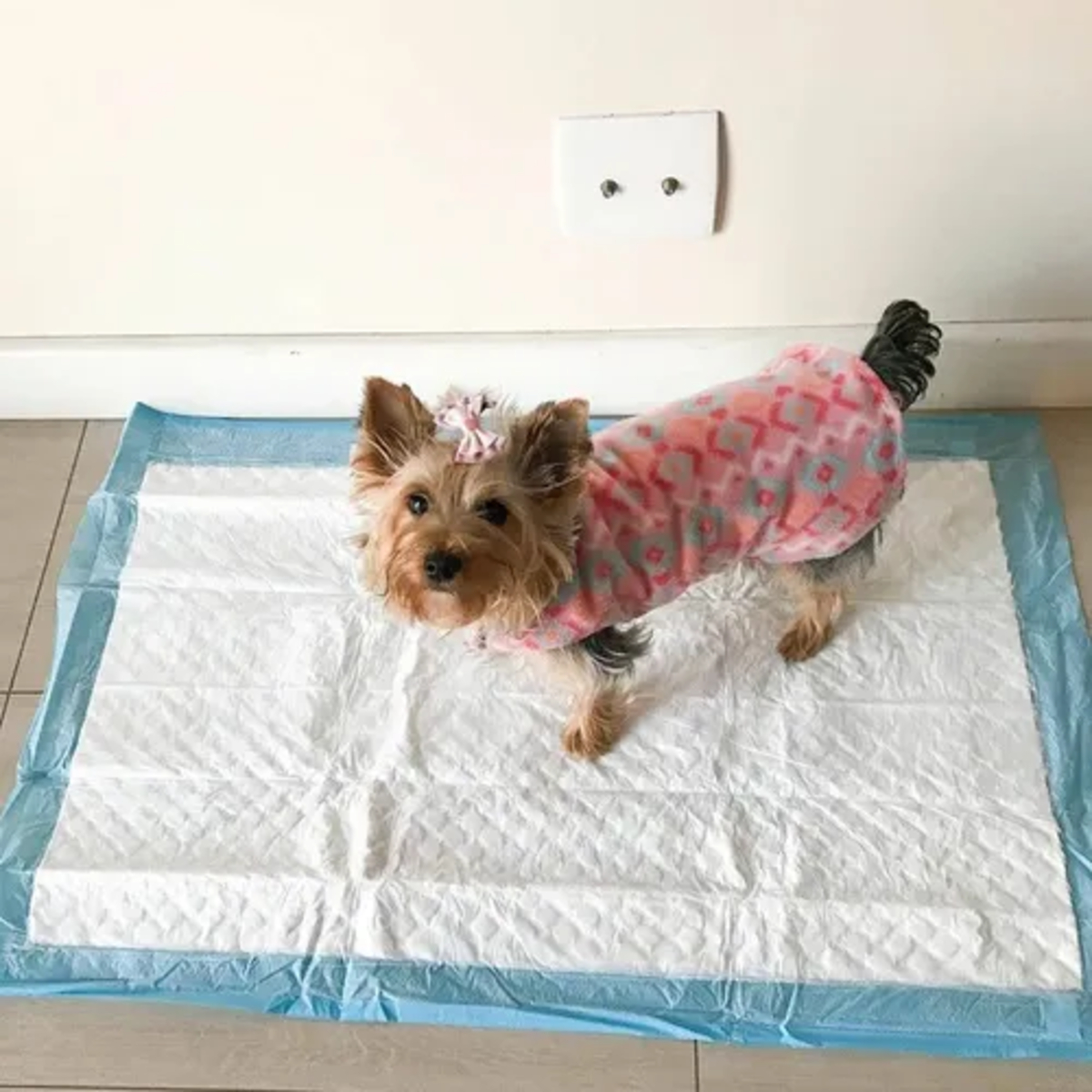 PAÑO SANITARIO TREIENE PET 30 UNI PET MAIS - Imagen 2