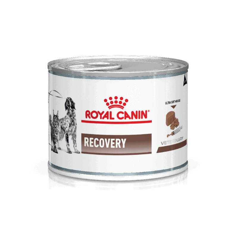 ROYAL CAT/DOG RECOVERY LATA 12 UNI X 195 GMS