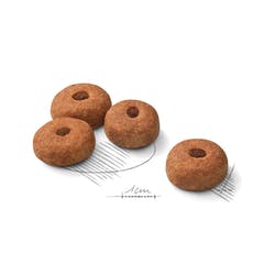 ROYAL CANIN MAXI CASTRADOS 7,5KG - Imagen 2