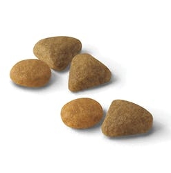 Alternative view of ROYAL CANIN GATO EXIGENT 1,5 KG