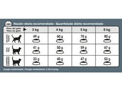 ROYAL CANIN GATO HAIR & SKIN CARE 2 KG - Imagen 3