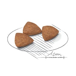 ROYAL CANIN PERRO MINI INDOOR 3KG - Imagen 2