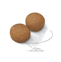 Alternative view of ROYAL CANIN MAXI AGEING 8+ 15KG