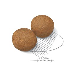 ROYAL CANIN MAXI AGEING 8+ 15KG - Imagen 2