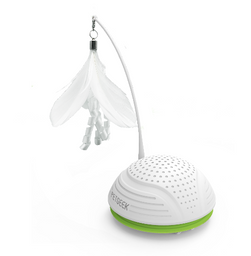 RosarioPet | Distribuidora de accesorios para mascotas.