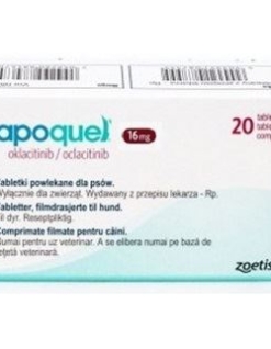 Alternative view of APOQUEL 16 MG (H/ 40 KG) X 20 COMPRIMIDOS