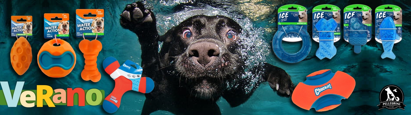 RosarioPet | Distribuidora de accesorios para mascotas.