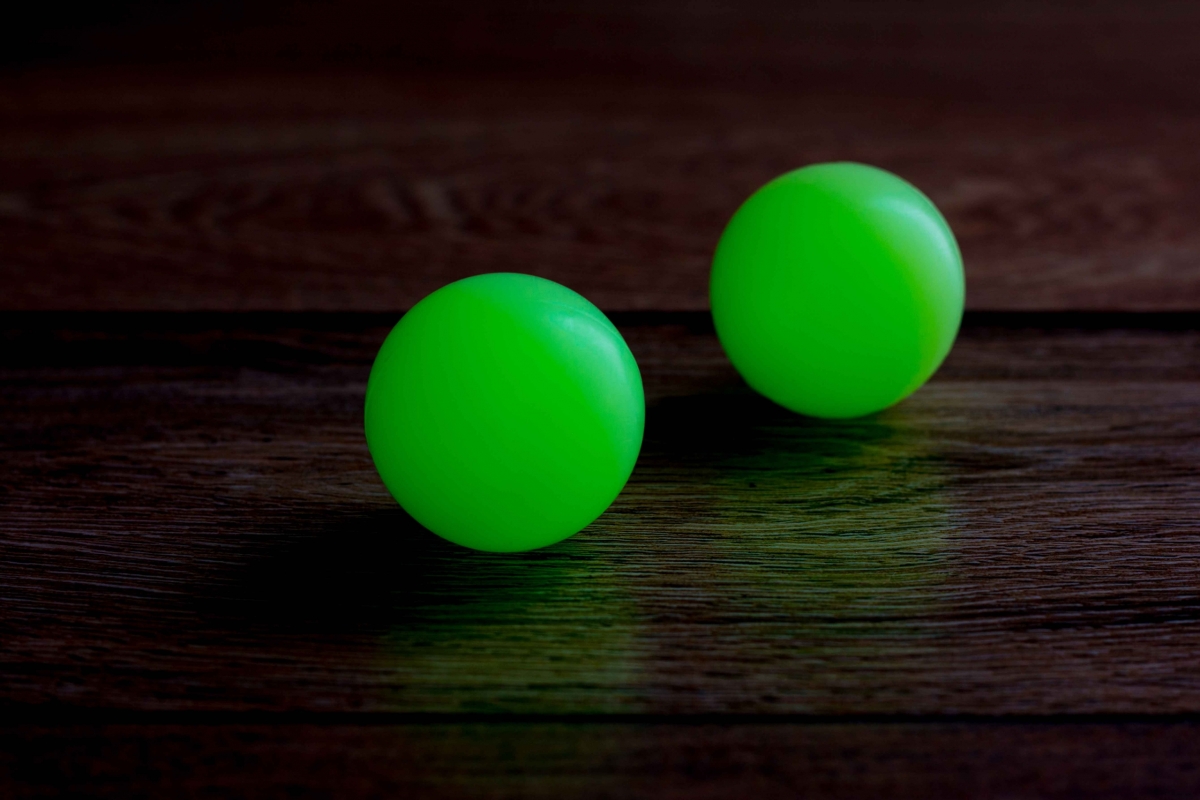 RosarioPet | Distribuidora de accesorios para mascotas.