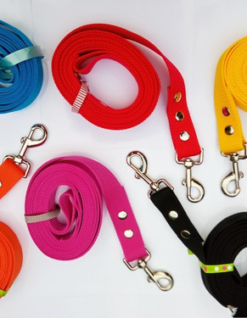 Correa Lisa de Adiestramiento 3.0 CM X 2 Metros