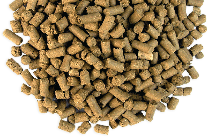 RosarioPet | Distribuidora de accesorios para mascotas.