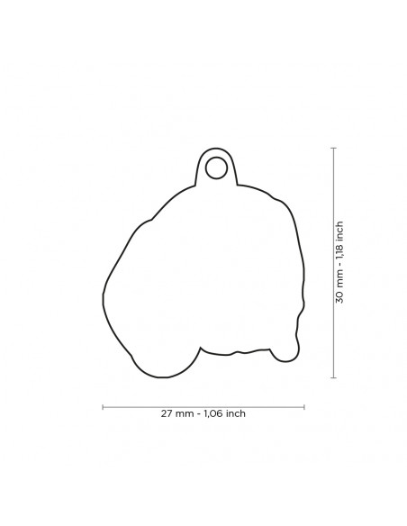 MEDALLA BEAGLE - Imagen 2