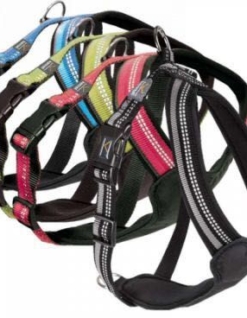 CONJUNTO ARNES ANTI TIRON Y TREKKING talle L