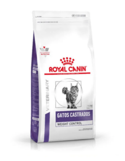 ROYAL CANIN GATOS CASTRADOS-YOUNG MALE 3,5 KG