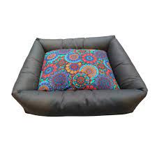 Moises Delhi Chico - Imagen 2