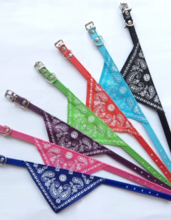 Collar Con Bandana 2 cm