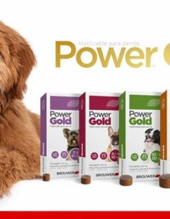 Alternative view of POWER GOLD 10 A 20 KG