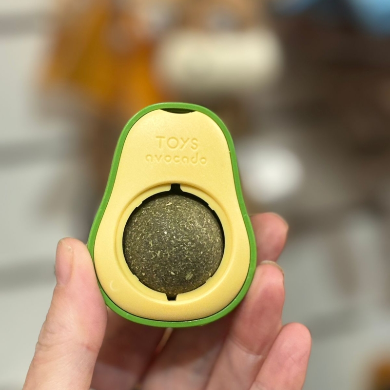 Alternative view of PALTA CON CATNIP