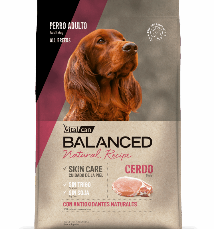 VITAL CAN NATURAL RECIPE PERRO ADULTO SABOR CERDO X 15 KG