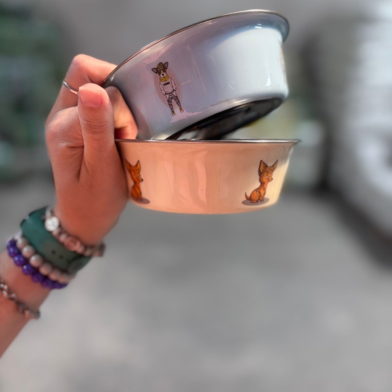 COMEDERO CAZUELA ANTIDESLIZANTE ACERO CON DISEÑOS 14 CM PP