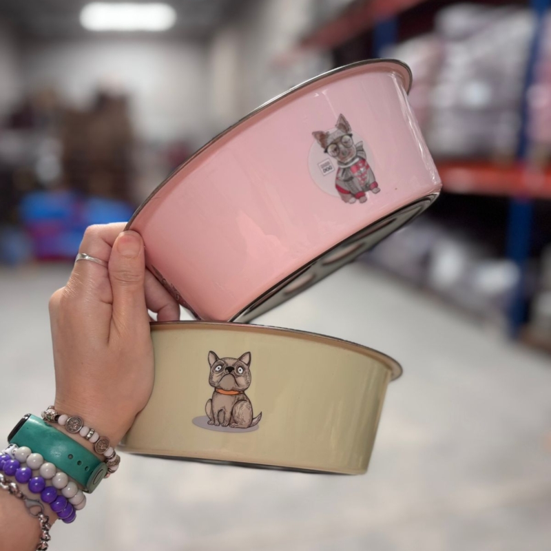 COMEDERO CAZUELA ANTIDESLIZANTE ACERO CON DISEÑOS 21 CM PP